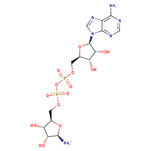 1vjt_1 Structure