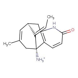 1vot_1 Structure