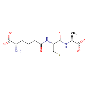 1w06_1 Structure