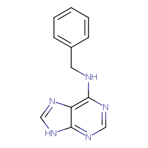 1w1s_1 Structure