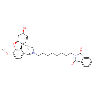 1w4l_1 Structure