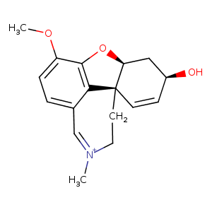 1w6r_1 Structure