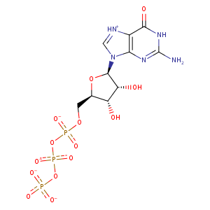 1wdt_1 Structure