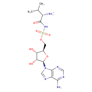 1wk8_1 Structure