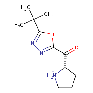 1wm1_1 Structure