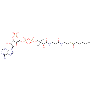 1wn3_2 Structure