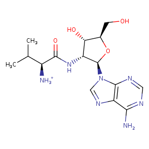 1wnz_1 Structure