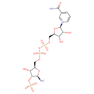 1wzi_2 Structure