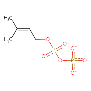 1x09_2 Structure