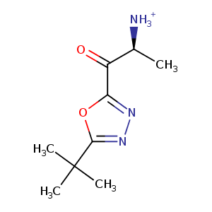 1x2e_1 Structure