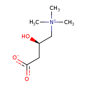 1xl8_1 Structure