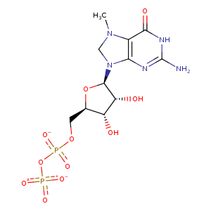 1xmm_2 Structure