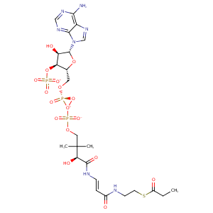 1xny_3 Structure