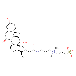 1xu9_4 Structure