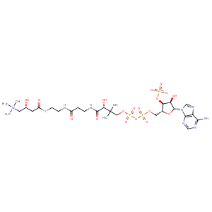1xvv_1 Structure