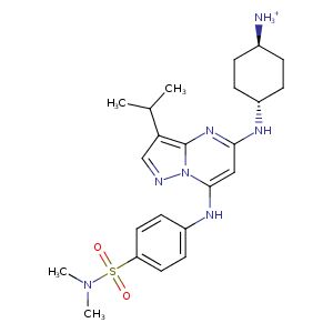 1y91_1 Structure