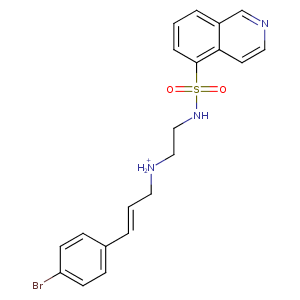 1ydt_1 Structure