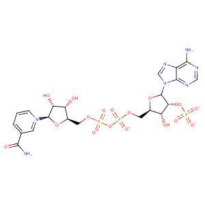 1ykf_3 Structure