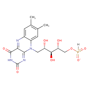 1ylu_1 Structure