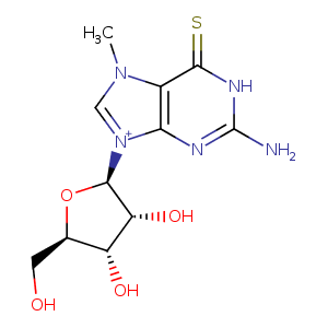 1yry_1 Structure