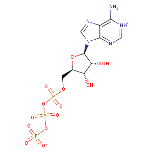 1z0s_2 Structure