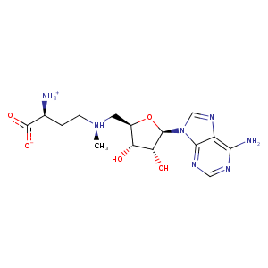 1z3c_1 Structure