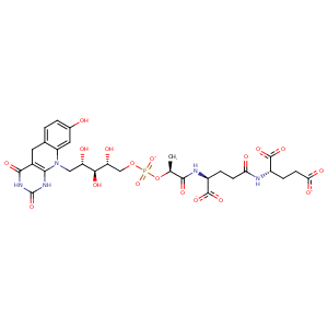 1z69_4 Structure