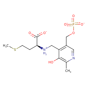 1z7y_1 Structure