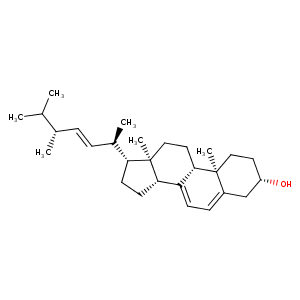 1zhz_1 Structure