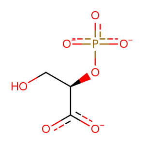 1zji_2 Structure