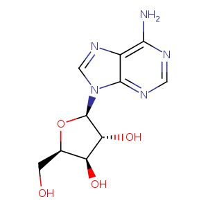 1ztf_1 Structure