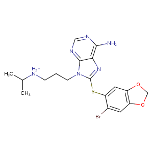 1zw9_1 Structure