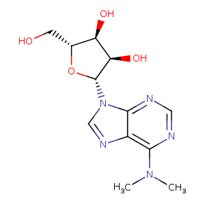 2a9z_1 Structure