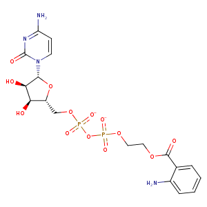 2amt_3 Structure