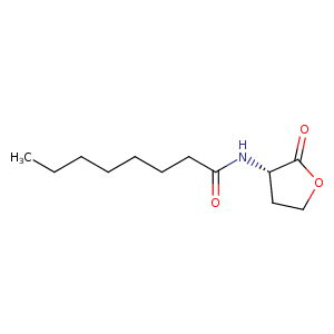 2avx_1 Structure