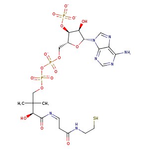 2b4d_1 Structure