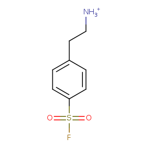 2b4t_1 Structure