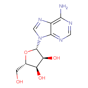 2b8j_1 Structure