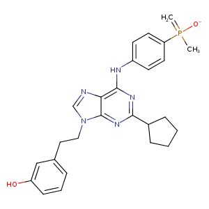 2bdj_1 Structure