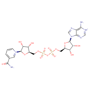 2bhp_1 Structure