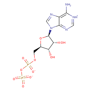 2bja_2 Structure