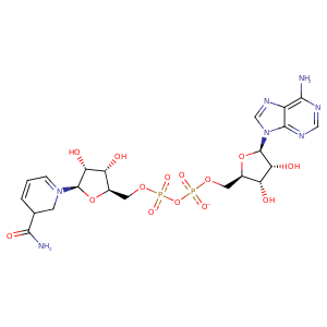 2bl4_2 Structure