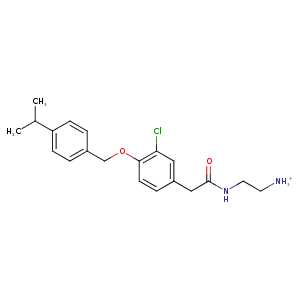 2bu7_1 Structure