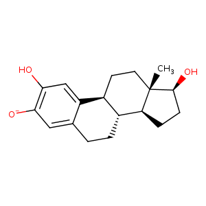 2bw7_1 Structure