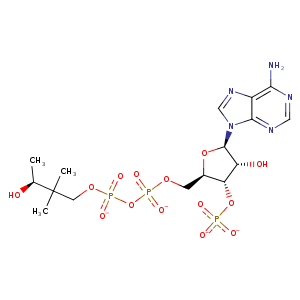 2cg5_1 Structure