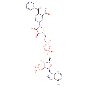 2cig_1 Structure