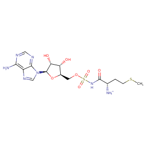 2ct8_2 Structure