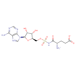 2cv2_1 Structure