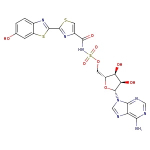 2d1s_1 Structure