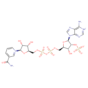 2d5n_1 Structure